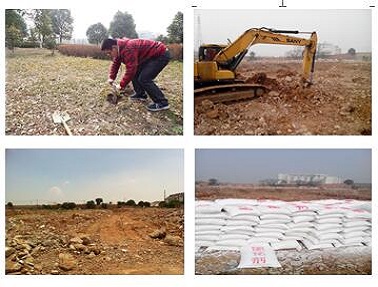 液體N-環己基-二丙烯三胺 CHAPAPA CAS No:5332-73-0，易于與環氧樹脂混合，提供良好的操作寬容度